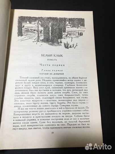 Белый клык, Рассказы о животных, Бемби, 1984