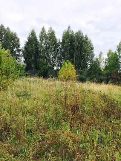 Участок 4,18 га (ИЖС)