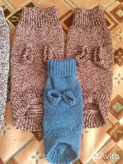 Одежда для животных