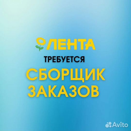 Сборщик в супермаркет (Лента)