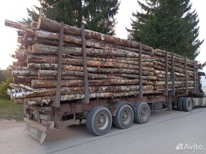 Дрова во Мге