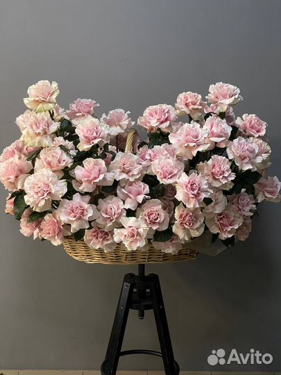 99 кубинских роз в корзине