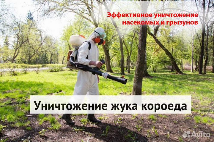 Уничтожение клопов тараканов лечение растений