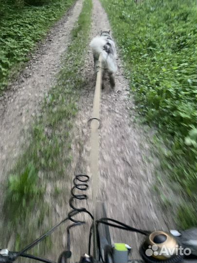 Велоудочка