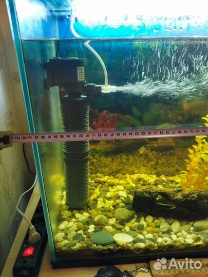 Аквариум