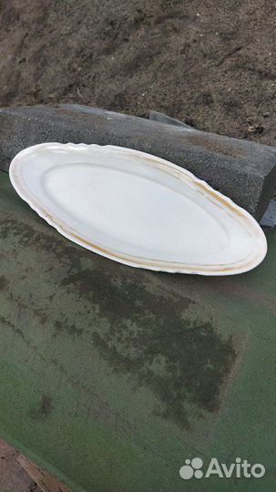 Селодочница фарфор