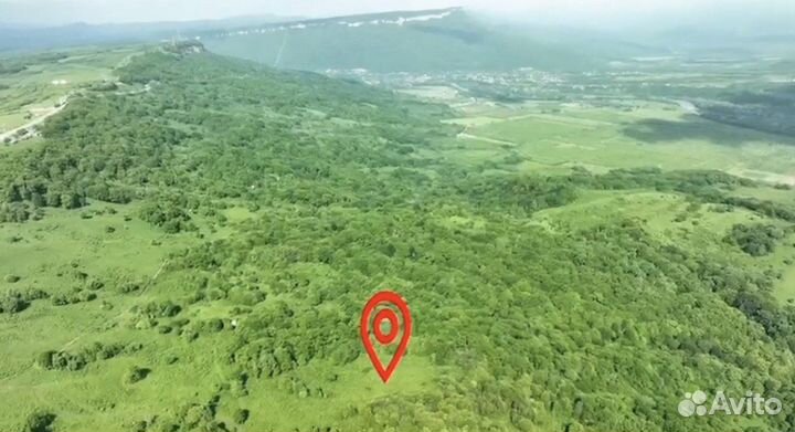 Участок 100 соток - инвестиционный проект отеля