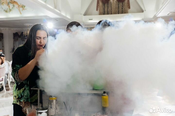 Бармен шоу Ростов