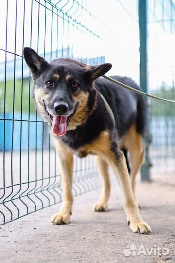 Ричард, почему его никто не замечает, он умничка