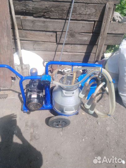 Доильный аппарат бу