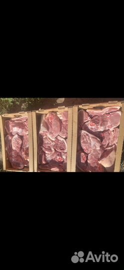 Мясо свинина для домашней кухни