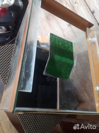 Акватеррариум