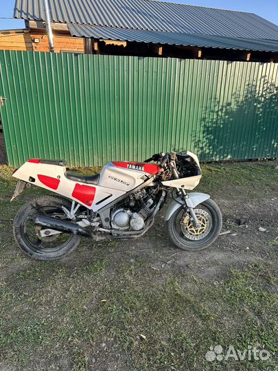 Спортак 250