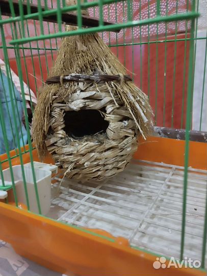 Клетка для птиц