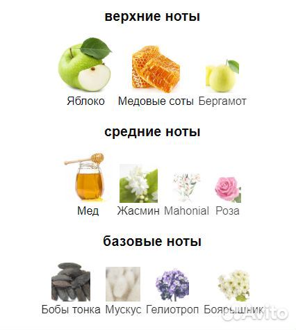 Limitless Shopping Trussardi