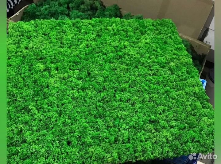 Ягель с доставкой (обрезки)