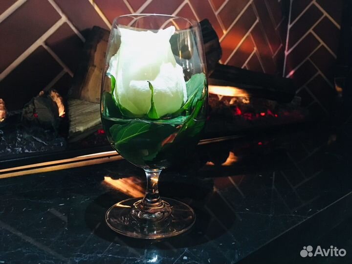 Техничка