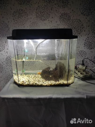 Аквариум
