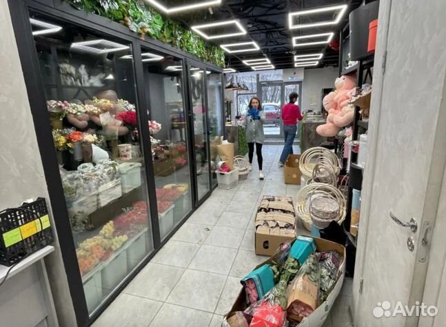 Гипсофила Опт