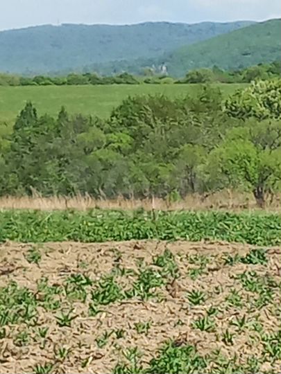 Участок 15 сот. (СНТ, ДНП)