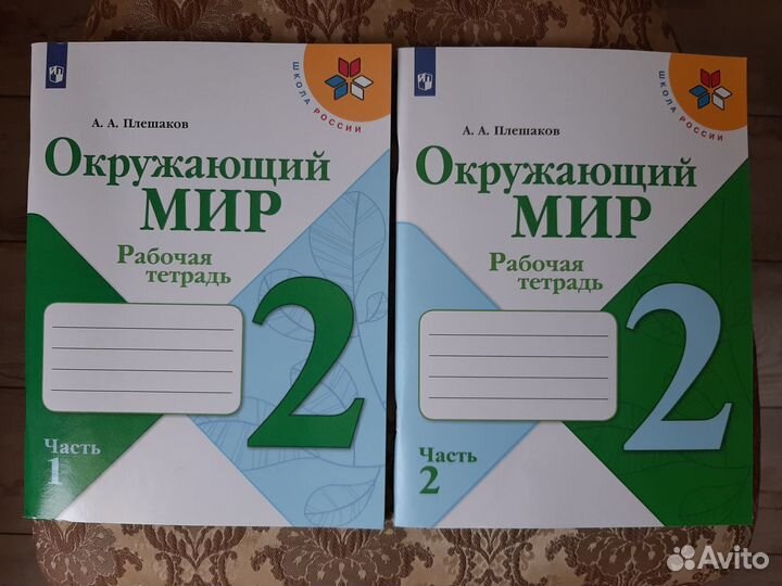 Рабочие тетради Окружающий мир 2 кл. Школа России