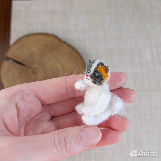 Миниатюрный котенок