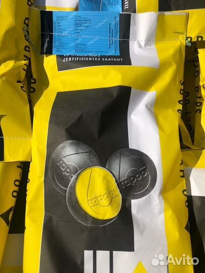 Семена озимого рапса