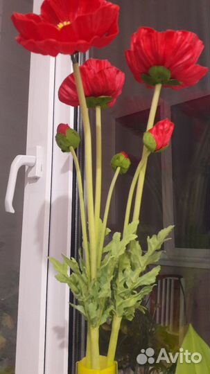 Маки букет цветы