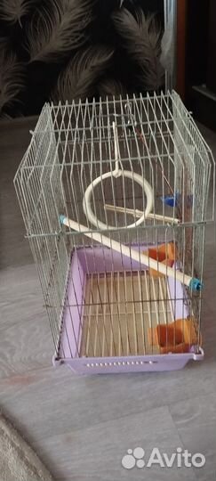 Клетка для попугая