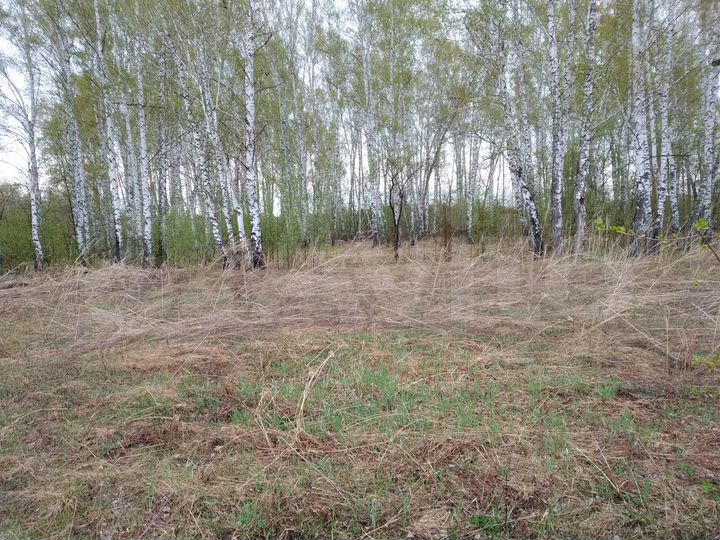 Участок 1,04 га (СНТ, ДНП)