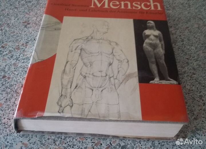 Пособие по анатомии для художников (редкое издан.)