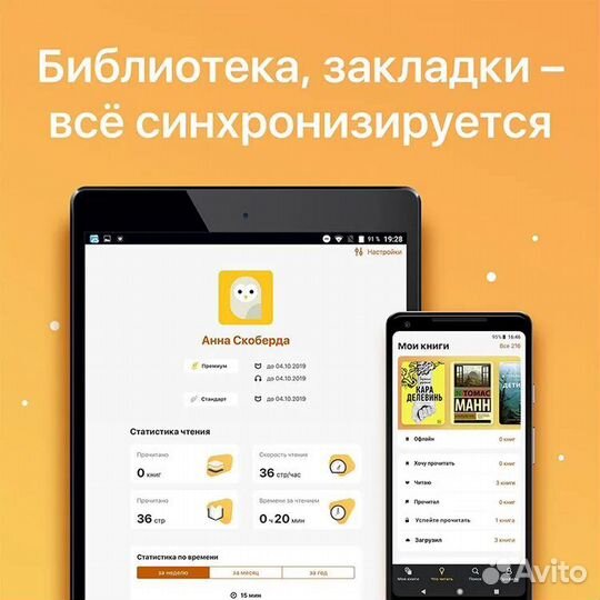 Mybook premium промокод