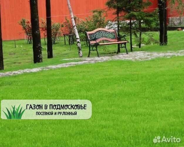 Газон, укладка рулонного газоны