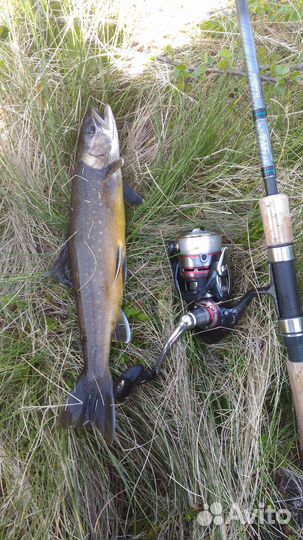 Спиннинг Shimano STC mini tele