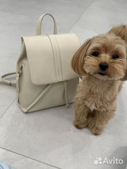 Рюкзак Zara, оригинал