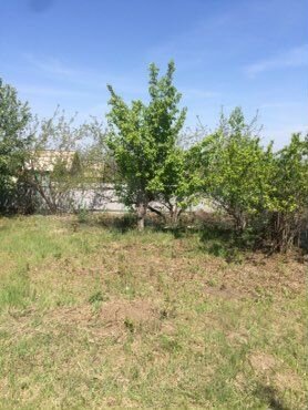 Дача 20 м² на участке 6 сот.