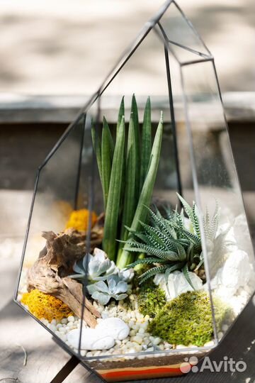 Флорариум - цветы и декор под стеклом