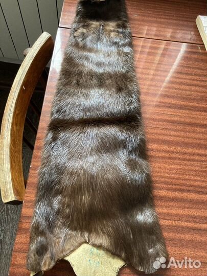 Меха. Шкурка норки