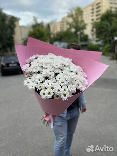 XXL букет ромашек