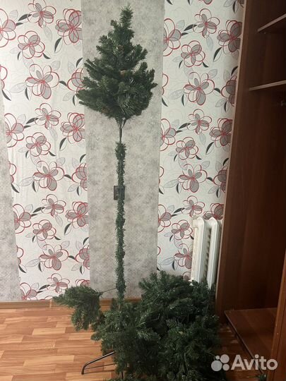 Елка 2 метра