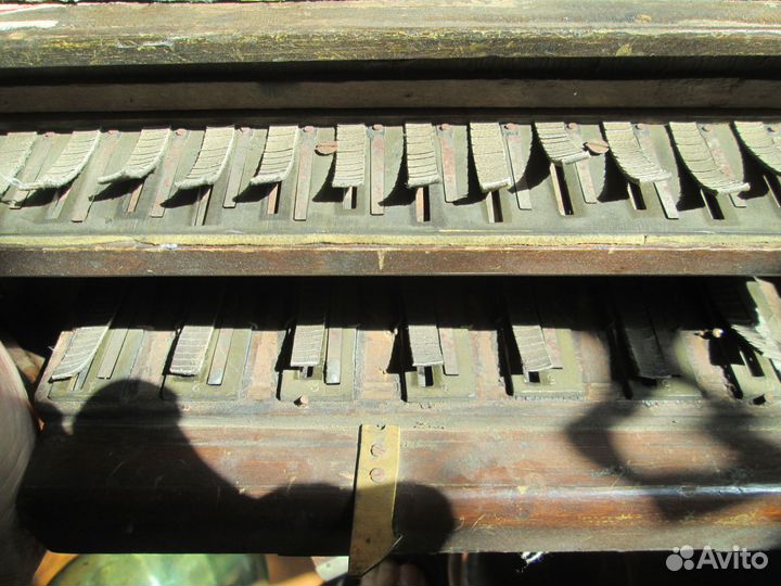 Гармонь бр. Потехины