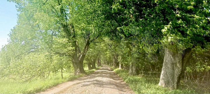 Участок 7 сот. (ИЖС)