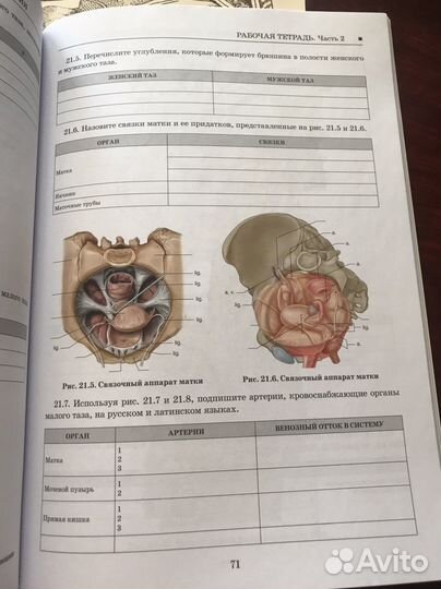 Рабочие тетради по охта 1,2 части