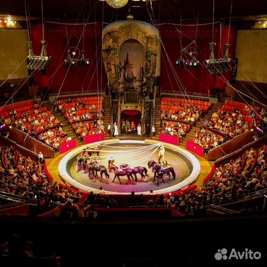Билеты в цирк на Вернадского Королевство