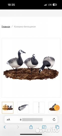 Чучела гусей Softplast 3D казарка (комплект 10шт)