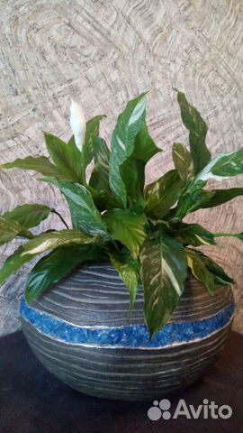 Вазы из арт-бетона