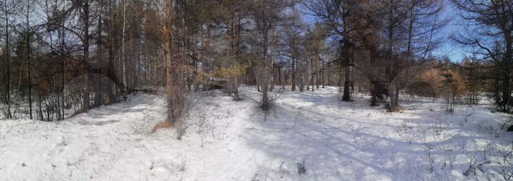 Участок 100 сот. (ИЖС)