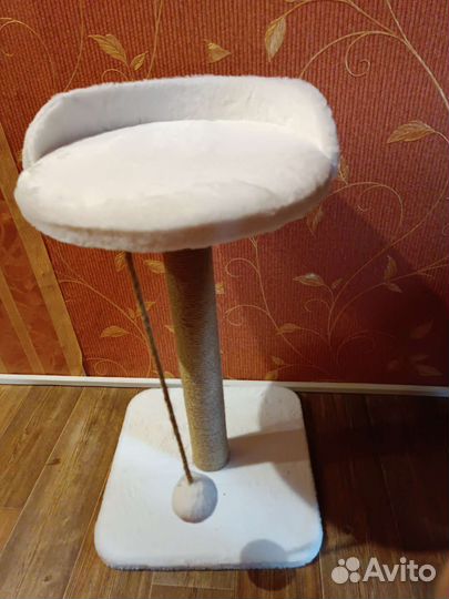 Когтеточка