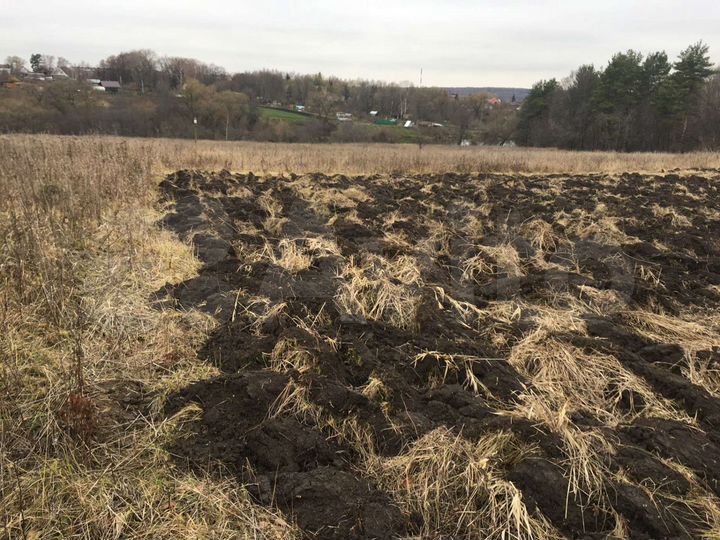 Участок 50 сот. (ИЖС)