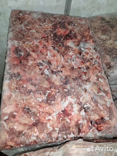 Корм для собак (мясо с голов говядины)